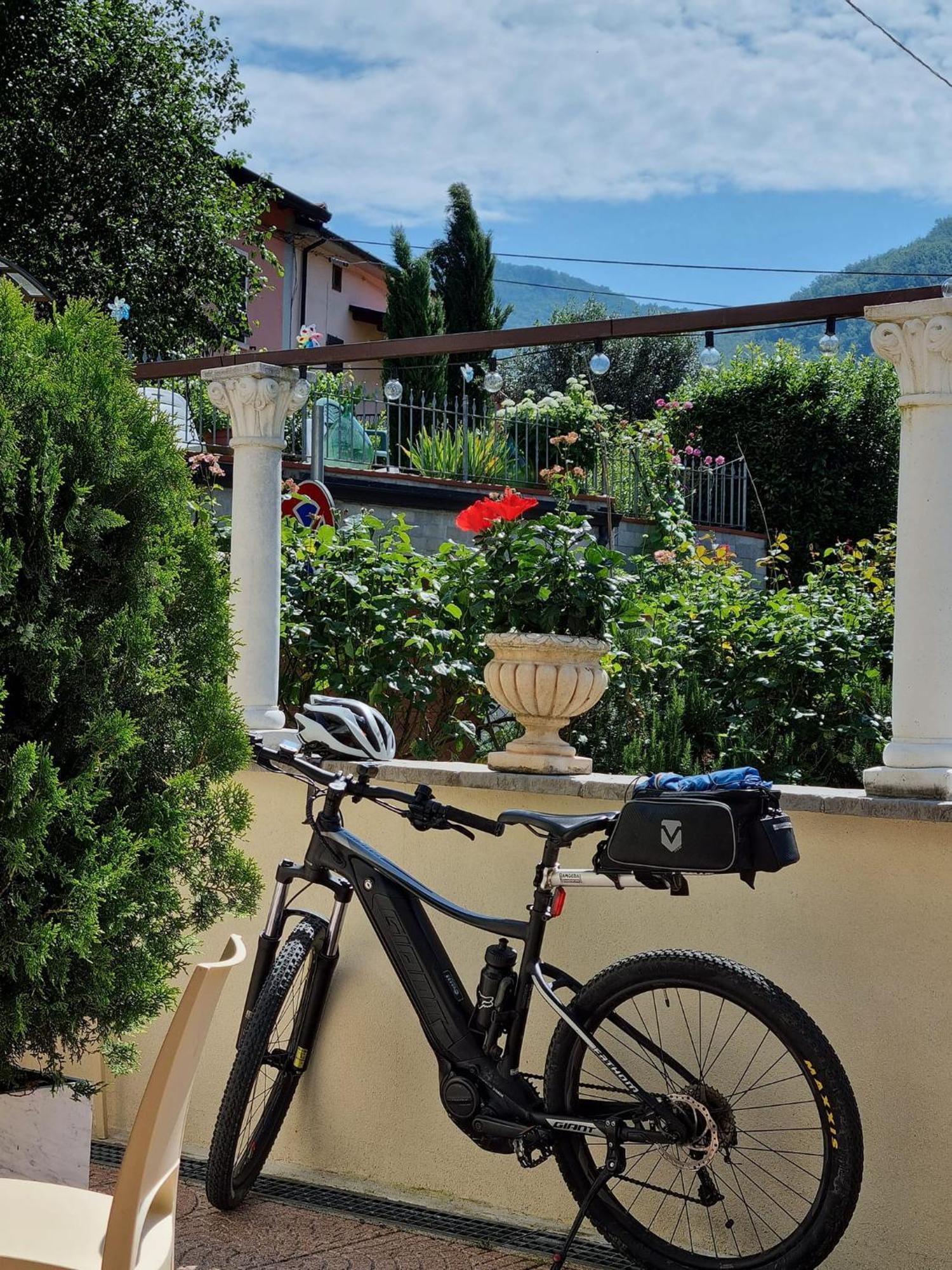Elena * Equi Terme